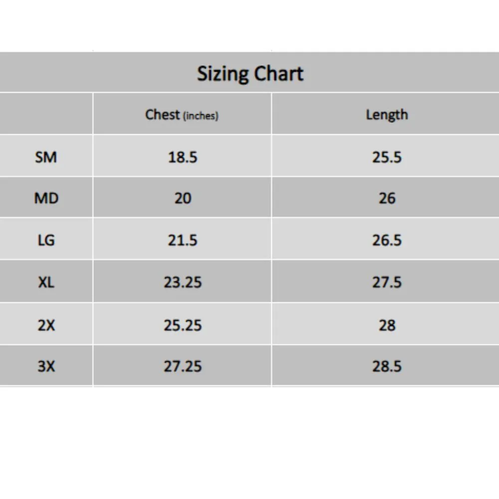 Radians ST21W Women's Class 3 High Visibility Shirt