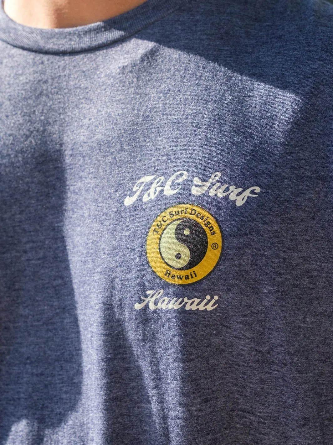 T&C Surf Adobo and Rice Jersey Tee